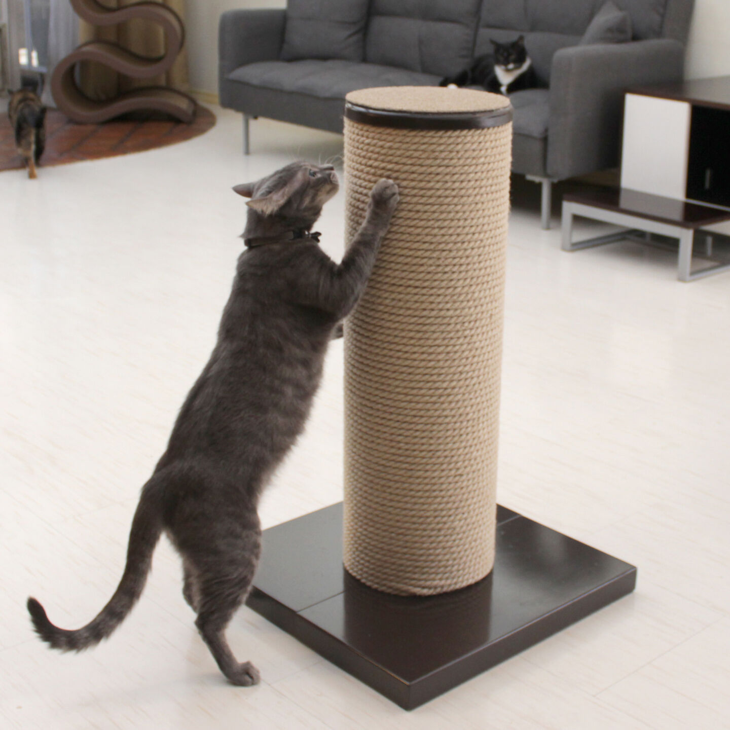 Primetime MaxScratch_Espresso_CatScratch2_sq.jpg